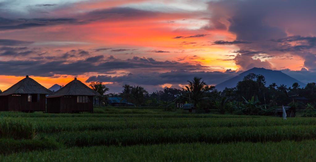 Holiday home Solo & Retreat *